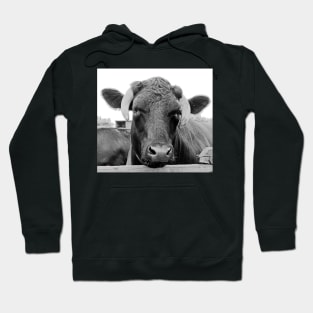 Feeling a tad bullish Hoodie